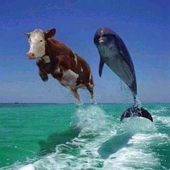 li 3araf chkon isba9 ... ???